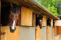 free Balemore stable construction quotes